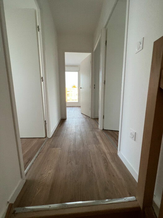 Appartement | LOMME 4
